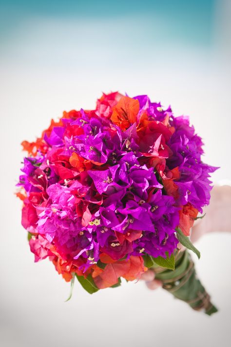 Buganvilia bouquet Bougainvillea Bouquet, Bougainvillea Wedding, Jade Wedding, Fiji Wedding, Gladiolus Flower, Beautiful Decorations, Bridal Bouquet Flowers, Boda Mexicana, Hippie Wedding