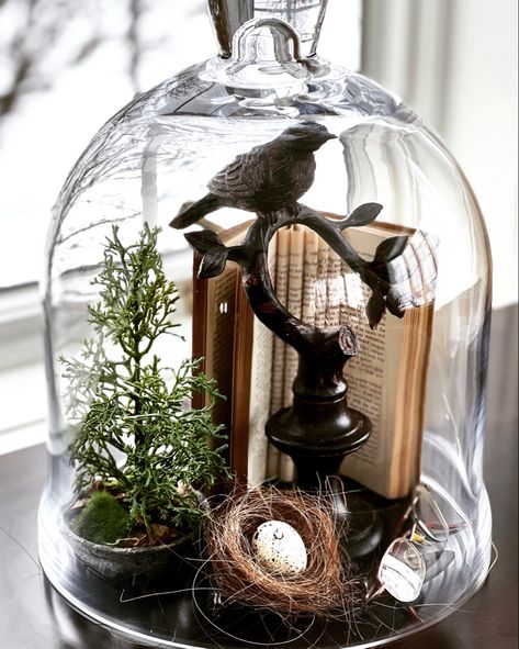 Curio Cabinet Decor Ideas Display, Wire Cloche Decor Ideas, Fall Cloche Ideas, Naturalist Aesthetic, Vintage Spring Aesthetic, Vintage Spring Wedding, Glass Cloche Decor, Vintage Spring Decor, Cloche Ideas