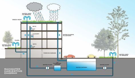 RAINWATERHARVESTING DIAGRAM.psd | Studio Hillier Rainwater Collection System Architecture, Urban Planning Design, Koshino House, Public Library Design, Sustainable Building Design, Construction Details Architecture, Water Architecture, Rainwater Harvesting System, System Architecture