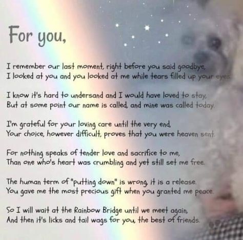 Dog Heaven Quotes, Pet Poems, Pet Memorial Tattoo, Miss My Dog, Dog Poems, Dog Heaven, Pet Remembrance, Love Poem, Pet Sympathy