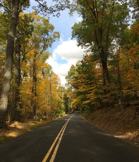 Small Town Midwest Aesthetic, Door County Fall, Rural Midwest Aesthetic, Small Town Aesthetic Summer Country, Westchester County Ny, Bedford New York, Westchester New York, Westchester Ny, Westchester County