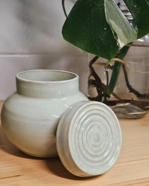 Concentric circles jar by D.R. #pottery #ceramics #clay #jar Lidded Pots Ceramics, Ceramics Lidded Jar, Ceramic Throwing Ideas Pottery Wheel, Lidded Jars Ceramic Pottery Ideas, Pinch Pot With Lid, Wheel Pottery Ideas, Ceramic Lidded Jars, Crazy Ceramics, Lidded Jars Pottery