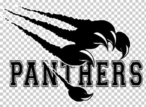 Black Panther Hoodie, White Panther, Football Run, Panthers Logo, Panther Logo, Panthers Football, Black Panthers, Carolina Panthers, Cricut Maker