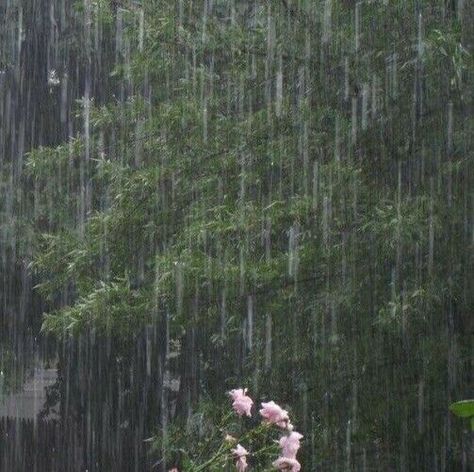 Rainy Day Aesthetic, I Love Rain, Love Rain, Summer Rain, On A Rainy Day, When It Rains, A Rainy Day, Nature Aesthetic, Pretty Places