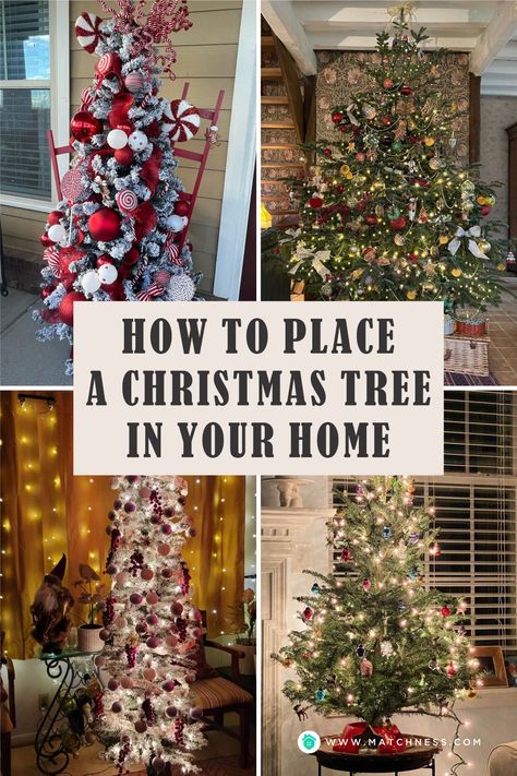 Christmas Tree Location In Living Room, Rearranging For Christmas Tree, Shiplap Christmas Tree, Open Floor Plan Christmas Tree, Big Christmas Tree Small Living Room, Christmas Tree In Basement, Christmas Tree On Table Living Rooms, Best Place To Put Christmas Tree, Christmas Tree In Center Of Room