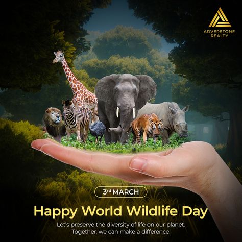 Let's preserve the diversity of life on our planet. Together, we can make a difference.
.
Happy World Wildlife Day 🐅☘️
.
#wildlife #un #forestpreserve #wildlifeprotection #who #tiger #safety #diversity #life #earth #savetiger #saveforest #savewildlife World Wildlife Day, World Animals, Wildlife Protection, Wildlife Day, Save Wildlife, Pet Day, Wildlife Conservation, Animals Of The World, Animal Rights