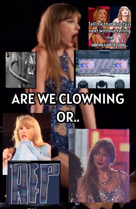 Pictures Of Taylor Swift, Reputation Tv, Rep Tv, Being A Man, Taylor Swift Jokes, Photos Of Taylor Swift, Taylor Swift Fan Club, Swift Facts, Blonde Cat