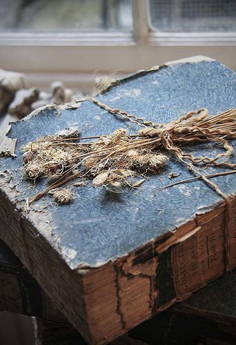 Appley Hoare Antiques - Chelsea, London | by Kotomi_ Blue Cottage, Old Book, Colour Board, Brown Aesthetic, French Blue, Old Books, Antique Shops, Antique Books, Blue Aesthetic