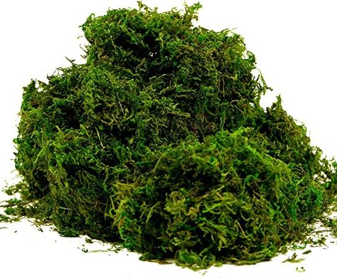 Amazon.com: Byher Fake Moss, Artificial Fresh Green Moss for Wedding Centerpieces Garden Terrariums Decoration (8OZ) : Arts, Crafts & Sewing Fake Moss, Plant Centerpieces, Fake Potted Plants, Potted Plants Outdoor, Fairy Garden Crafts, Artificial Potted Plants, Flowers In Jars, Forest Decor, Terrarium Decor