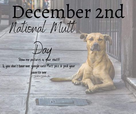 List Of National Days, National Celebration Days, National Holiday Calendar, National Mutt Day, Facebook Group Games, Engagement Games, Interactive Facebook Posts, Posting Ideas, Heinz 57