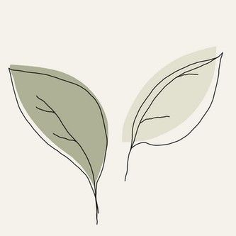 Green Leaves Aesthetic, Aesthetic Illustrations, Green Icons, Mint Green Aesthetic, Sage Green Wallpaper, Custom Ipad, Widget Design, Ipad Ios, Iphone Wallpaper Ios