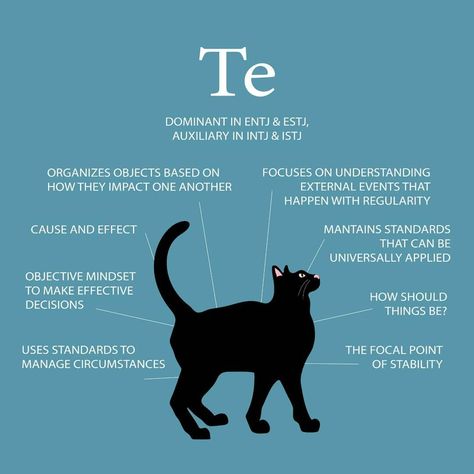 Cognitive Functions Mbti, Mbti Functions, Personality Archetypes, Mbti Test, Intp Personality Type, Intj And Infj, Cognitive Functions, Intp Personality, Intj Personality