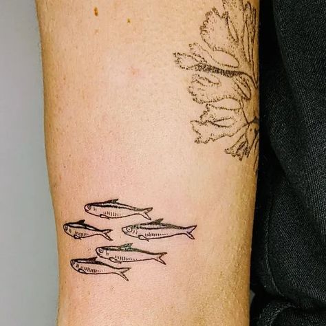 Life Aquatic Tattoo, Portuguese Sardine Tattoo, Carabao Tattoo, Bea Tattoo, Sardine Tattoo, Aquatic Tattoo, Small Fish Tattoos, Patchwork Tattoos, Squid Tattoo