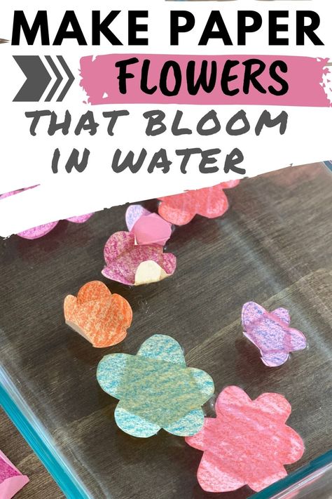 Paper flowers unfolding and blooming in water Easy Stem Activities Elementary, Cool Science Experiments For Kids, Steam Activities Elementary, Spring Science Experiments, Flower Activities For Kids, Spring Stem Activities, Spring Science Activities, Flower Science, Science Activities For Toddlers