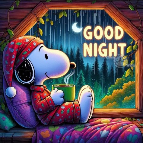 Snoopy Evening, Snoopy Good Night, Goodnight Snoopy, Good Night Sleep Well, Snoopy Drawing, Good Evening Messages, Good Morning Snoopy, Good Night Funny, Good Morning Happy Friday