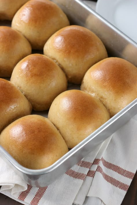 Wheat Dinner Rolls Recipe, Dinner Rolls Recipe Easy, Wheat Dinner Rolls, Thanksgiving Posts, Wheat Rolls, Rolls Recipe Easy, Easy Yeast Rolls, Dinner Roll Recipe, Yeast Rolls Recipe