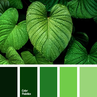 Beautiful like a nature itself color gamma. What can be more wonderful than shades of fresh leaves, green grass, and soft greenery? Smooth transitions of g. In Color Balance, Corel Draw Design, Color Concept, Green Color Palette, Color Palette Ideas, Wall Living Room, Palette Ideas, Green Palette, Monochromatic Color Scheme