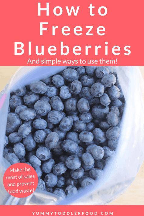 How to Freeze Blueberries Blueberry Video, How To Freeze Blueberries, Freeze Blueberries, Blueberry Benefits, Blueberry Recipe, Canned Blueberries, Blueberry Picking, Prevent Food Waste, Blueberry Farm