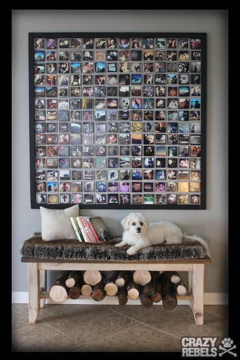 Picture of a dog with her Instagram wall of dog pics. #Instagramart #DIY #maltese Decoration Hall, Instagram Wall, Hal Decor, Instagram Diy, Picture Collage, Diy Photo, Instagram Art, Photo Wall Art, Picture Display