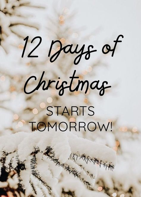 12 Days Of Christmas Spa Ideas, Mary Kay 12 Days Of Christmas, Mary Kay November, Mary Kay Gift Sets, Mary Kay Office, Mary Kay Sale, Mary Kay Christmas, Mary Kay Facebook, Mary Kay Inspiration