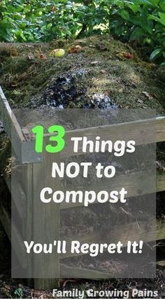 A compost bin is necessary for vegetable gardening and growing your own food. Even homesteaders with small scale farms can have a compost! Composts add vital nutrients back into your soil, increasing your harvest, but you don't want to put these 13 things into your compost! #Composting #VegetableGarden Compost Diy, Starting Garden, Planting Seed, Compost Toilet, Bucket Garden, Compost Bin Diy, Poultry Farming, Growing Your Own Food, Winter Vegetable