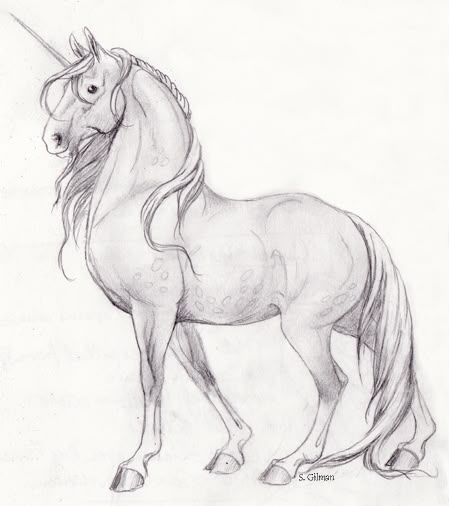 Unicorn Sketch by https://www.deviantart.com/lunatteo on @DeviantArt Unicorn Drawing Sketches, Sketch Unicorn, Unicorn Art Drawing, Unicorn Sketch, Horse Art Drawing, Unicorn Drawing, Horse Sketch, Unicorn Pictures, Horse Drawing