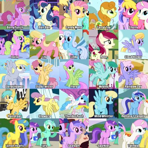 random ponies My Little Pony Names, Berry Punch, Derpy Hooves, Mlp Characters, My Lil Pony, Mlp Fan Art, My Little Pony Characters, Mlp Pony, My Little Pony Pictures