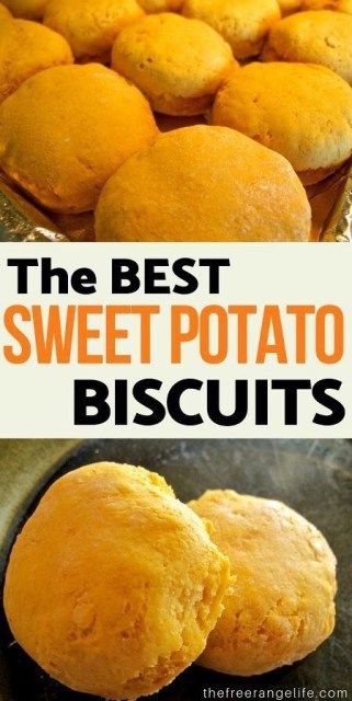 Bisquick Sweet Potato Biscuits, Sweet Potato Biscuits With Bisquick, Sweet Potato Biscuits Easy, Thanksgiving Camping, Resep Vegan, Potato Biscuits, Sweet Potato Biscuits, Potato Patties, Slider Buns