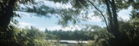 Nature Discord Banner, Forest Header, Nature Header, Poem Background, Forest Banner, Head Twitter, Nature Banner, Twt Header, Banner Ideas