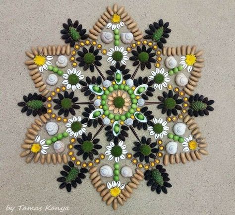 Mandalas Made With Natural Elements – Fubiz Media