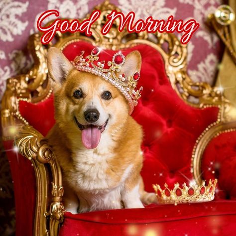 Corgi Queen, Queen Elizabeth Ii Quotes, Royal Corgi, Corgi Dog, Elizabeth Ii, Art Wallpaper, Dog Cat, Character Art, Teddy Bear