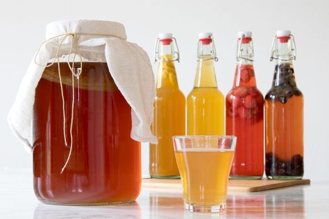 Kombucha is a fizzy tea drink that anyone can brew at home. Get tips for working with a scoby, adding flavor, and starting your first batch. Fermentation Aesthetic, Fizzy Drinks Aesthetic, Kombucha Aesthetic Photography, Kombucha Aesthetic, Kombucha Making, Ellie Aesthetic, Fermented Beverages, Make Your Own Kombucha, Benelli M4