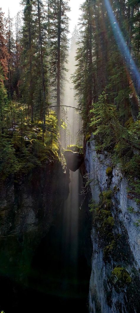 Maligne Canyon, Rialto Beach, Jasper Alberta, Canada Photography, World Wallpaper, Nature Mountains, Cool Wallpapers For Phones, Wild Nature, Alberta Canada