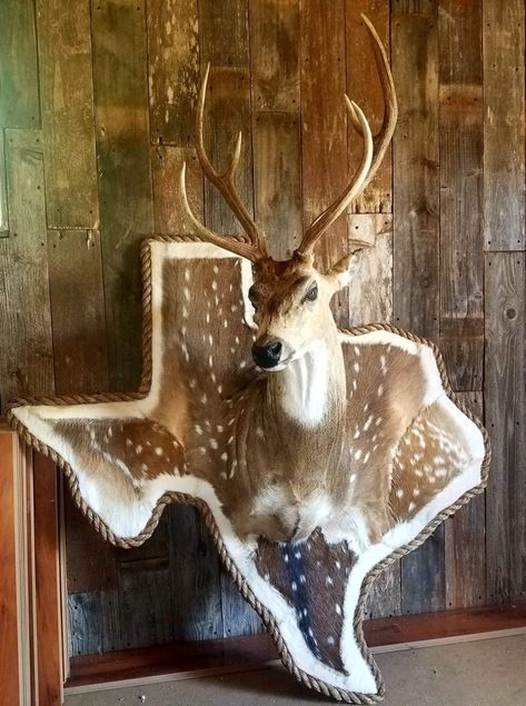 Only for my Ronnie, in his “game room”. Draw Wolf, Deer Mount Decor, Deer Mount Ideas, Deer Hunting Decor, Deer Skull Mount, Deer Head Decor, Antler Ideas, Ideas For House, Taxidermy Decor