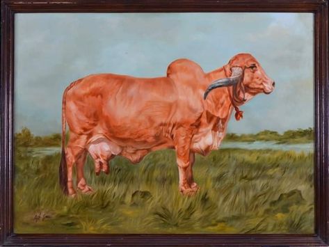 Gir Cow, Cow Painting, Photo Art Gallery, Rodeo, Animal Art, Krishna, Photo Art, Moose Art, Cow