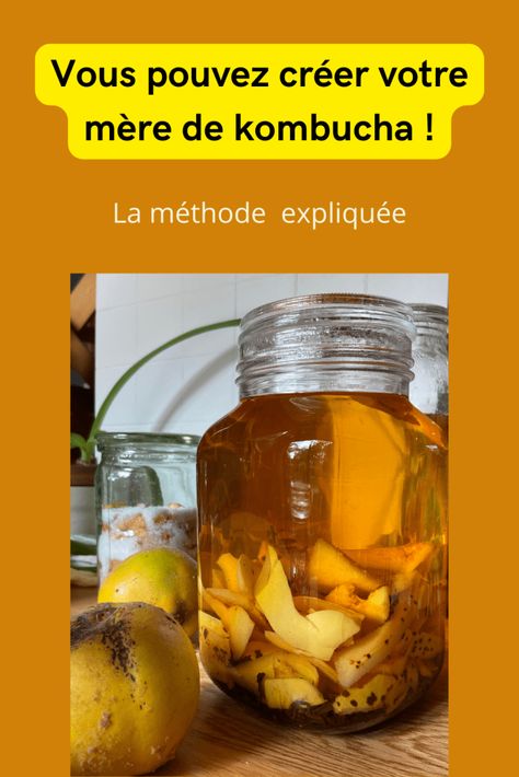 Lacto Fermentation, Kombucha Flavors, Kombucha Recipe, Cocktail And Mocktail, Girl Cooking, Naturopathy, Batch Cooking, World Recipes, French Food