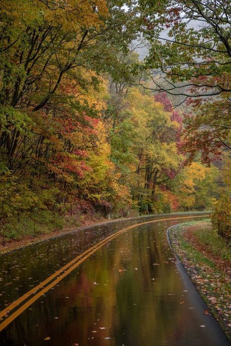 Craggy Gardens, Usa Places To Visit, Georgia Travel, North Carolina Mountains, One Day Trip, Blue Ridge Parkway, Smoky Mountain National Park, Appalachian Trail, Blue Ridge Mountains