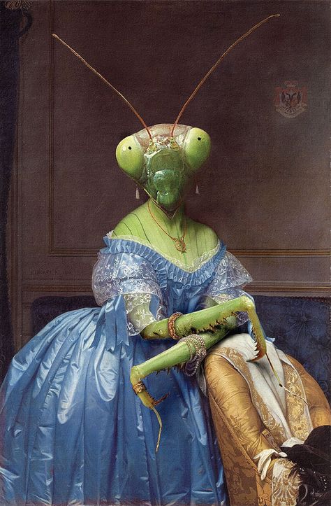 Insectophobia – Fear of insects. Artist: Ivo van der Ent Country: Netherlands Mantis Religiosa, Arte Occulta, Peter Paul Rubens, Praying Mantis, Insect Art, Arte Sketchbook, Animal Heads, Weird Art, Arte Pop