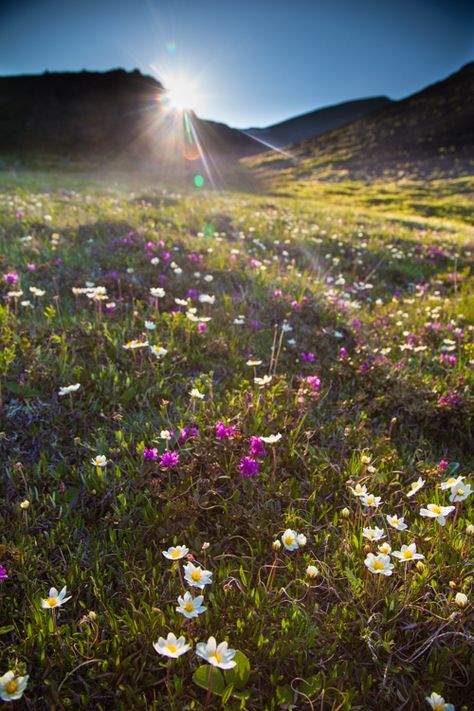 Spring Landscape Photography, Mountain Landscape Photography, Fine Art Landscape Photography, Landscape Photography Tips, Landscape Photography Nature, Spring Landscape, Spring Photos, Fine Art Landscape, Spring Photography