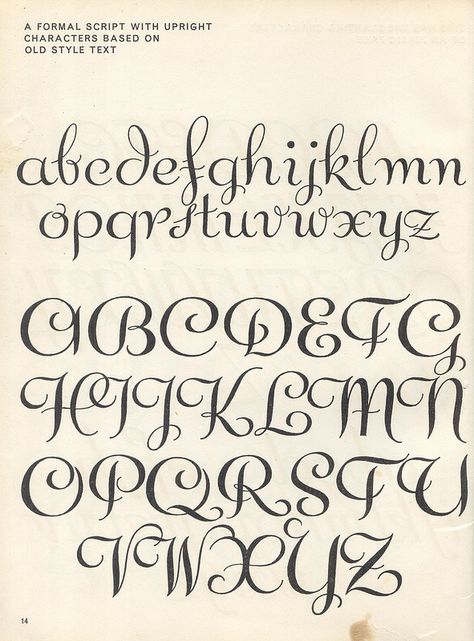 vintage script alphabet ~ Script Lettering (1957), M. Meijer ~ a formal script with upright characters based on old style text Fancy Fonts Alphabet Handwriting, Different Lettering Styles Alphabet, Letter Styles, Letter Fonts, Fancy Writing, Fonts Script, Script Alphabet, Fancy Stuff, Fun Fonts