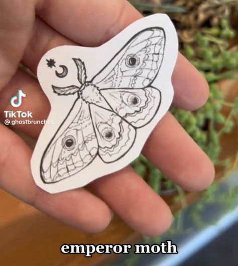 Minimalist Moth Tattoo, Tiny Moth Tattoo, Small Moth Tattoo, Lunar Moth Tattoo, Traditional Moth Tattoo, Animals Sketch, Aa Tattoos, Cute Moth, Lunar Moth