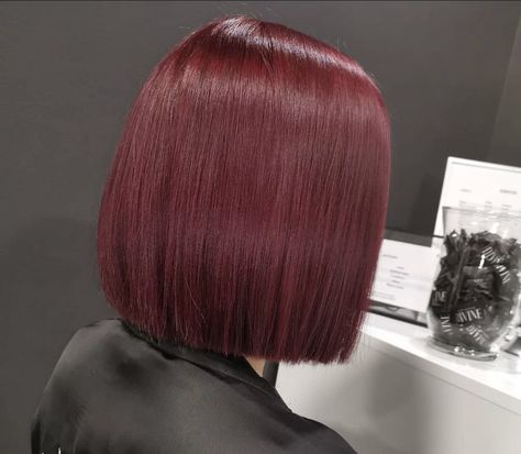 Cherry Red Bob Hair, Short Hair Cherry Red, Cherry Cola Hair Color Short, Cherry Short Hair, Burgundy Hair Bob, Cherry Red Hair Short, Burgundy Hair Short, Cherry Red Bob, Short Cherry Red Hair