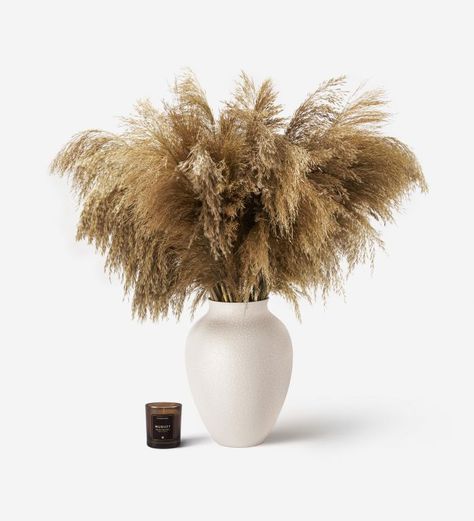 Pampas Grass Pink Pampas Grass, Pampas Grass Bouquet, Dried Pampas, Grass Decor, Pampas Grass Decor, Coffee Table Decor, Dry Plants, Same Day Flower Delivery, Luxury Flowers