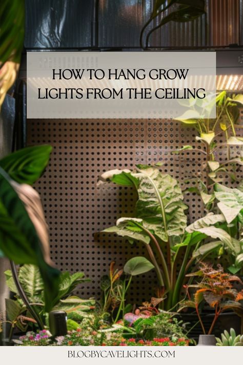 🌿 Elevate your indoor garden lighting game! Discover step-by-step tips on how to hang grow lights from your ceiling for thriving houseplants. Click to read more! 🌱 Hanging Grow Lights Indoor, Plant Wall With Grow Lights, Hanging Grow Light, Grow Light Set Up, How To Use Grow Lights For Indoor Plants, Pendant Grow Lights, Grow Lights For Houseplants, Plant Lights, Indoor Plant Display