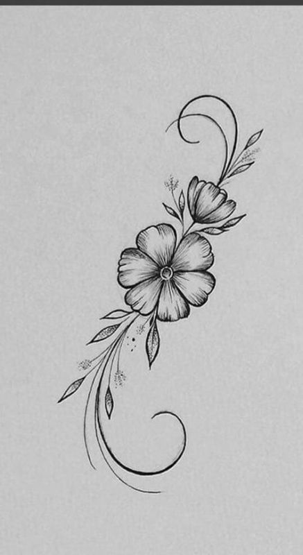 Tattoo Hoa Mini, Cherry Blossom Tattoo Drawing, Cherry Blossom Drawing, Cherry Tattoos, Pencil Drawings Of Flowers, Desen Realist, Beautiful Flower Drawings, Cat Tattoos, Flower Drawing Design