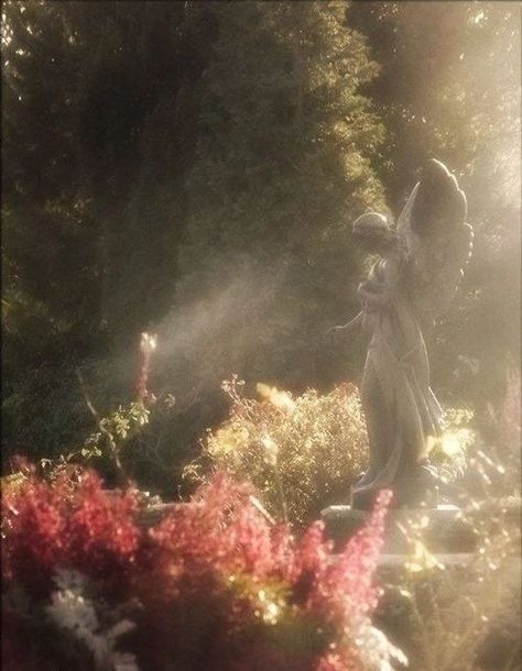 An Angel, In The Middle, A Garden, The Middle, Angel, Statue, Flowers, Red, White