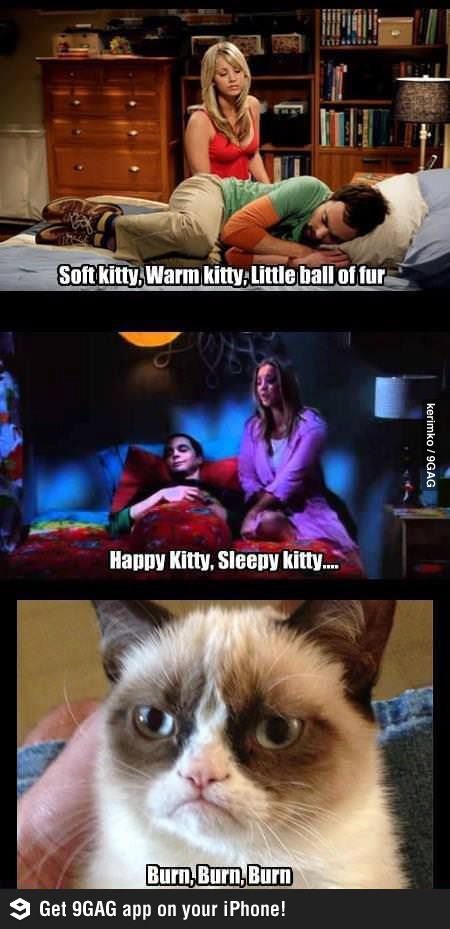 Dear Grumpy Cat,  You really need to get a therapist.  Sign       ~The people of Pinterest Grumpy Cat Meme, Grumpy Cat Quotes, Lol So True, The Bigbang Theory, Soft Kitty Warm Kitty, Cat Humor, Funny Cartoons Jokes, Meme Comics, Grumpy Cat Humor