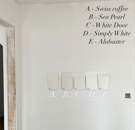 Whisper White Behr Walls, Behr Swiss Coffee Exterior Paint, Behr Warm White Paint Colors Wall, Swiss Coffee Vs Alabaster, Behr Palais White, Behr Whisper White, Swiss Coffee Walls With White Trim, Swiss Coffee Paint, Behr Exterior Paint