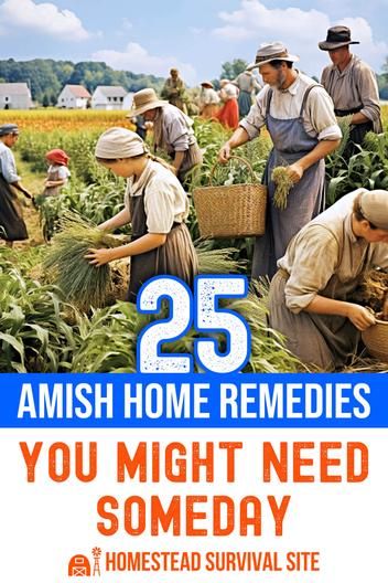 Discover 25 Amish home remedies for various ailments and health issues. Learn about these traditional remedies and how they provide relief. Amish Home, Amish House, Home Remedy For Cough, Cold Sores Remedies, Survival Life Hacks, Natural Healing Remedies, Home Health Remedies, Natural Cough Remedies, Holistic Remedies