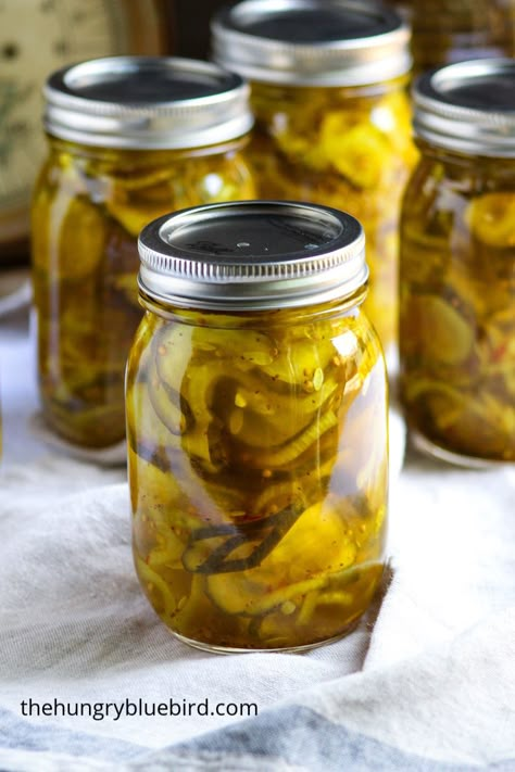 Bread and Butter Pickles ~ sweet and tangy, crunchy and a little spicy, these are the BEST pickles! Easy canning recipe to capture summer in a jar. #thehungrybluebird #breadandbutterpickles #canningrecipe #homemade #easyrecipe #picklesrecipes Bread And Butter Pickles Canning, Pickles Canning, Bread N Butter Pickle Recipe, Pickle Recipes Homemade, Bread And Butter Pickles, Easy Canning, Best Pickles, Butter Pickles, Canning Pickles